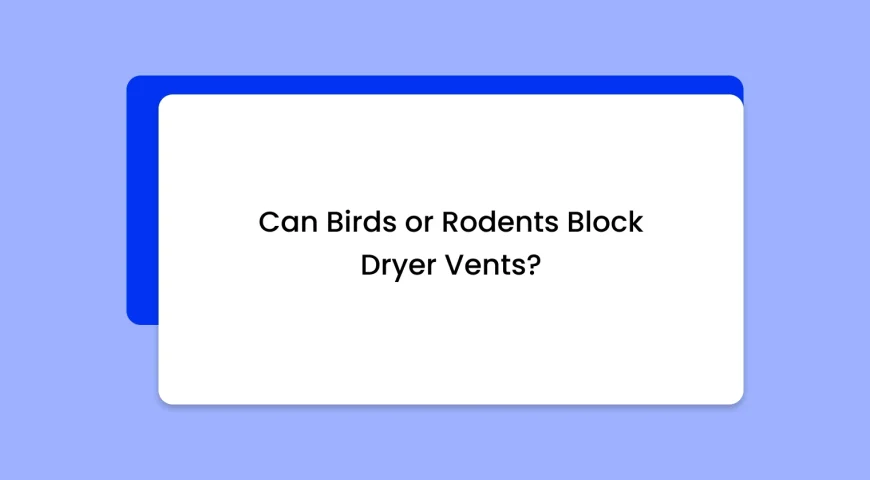 White rounded card featuring the question: 'Can Birds or Rodents Block Dryer Vents?' on a lavender background with a darker blue card peeking behind.